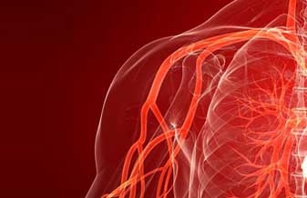 Murilo Marcondes Ribas - Foto 1