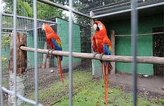 Cassiano & Lara Ltda - Foto 1