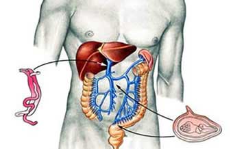 Aurora Carla Ramina - Foto 1