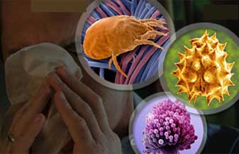 Regina Myagi - Foto 1