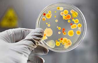 Carlos Gustavo Michaelis Schimidt - Foto 1