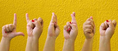 Bit Company - Foto 1