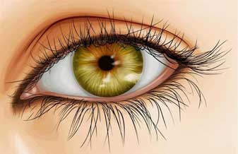 Laboratório Bioclinico Goes Ltda - Foto 1