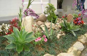 Campestre Jardinagem - Foto 1