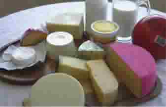 Anita Maneira Me - Foto 1