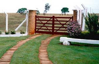 Pecuária Fazenda Grande - Foto 1