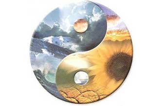 Massagem Clássica Terapêutica Campo Largo - Foto 1