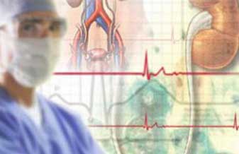 Wilmington Roque Torres Cosenza - Foto 1